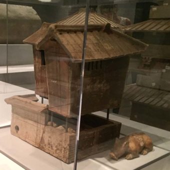 Model of a Multi-Story House with animals
