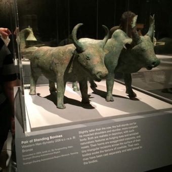 Standing Bovines, animals of ancient Chinese art