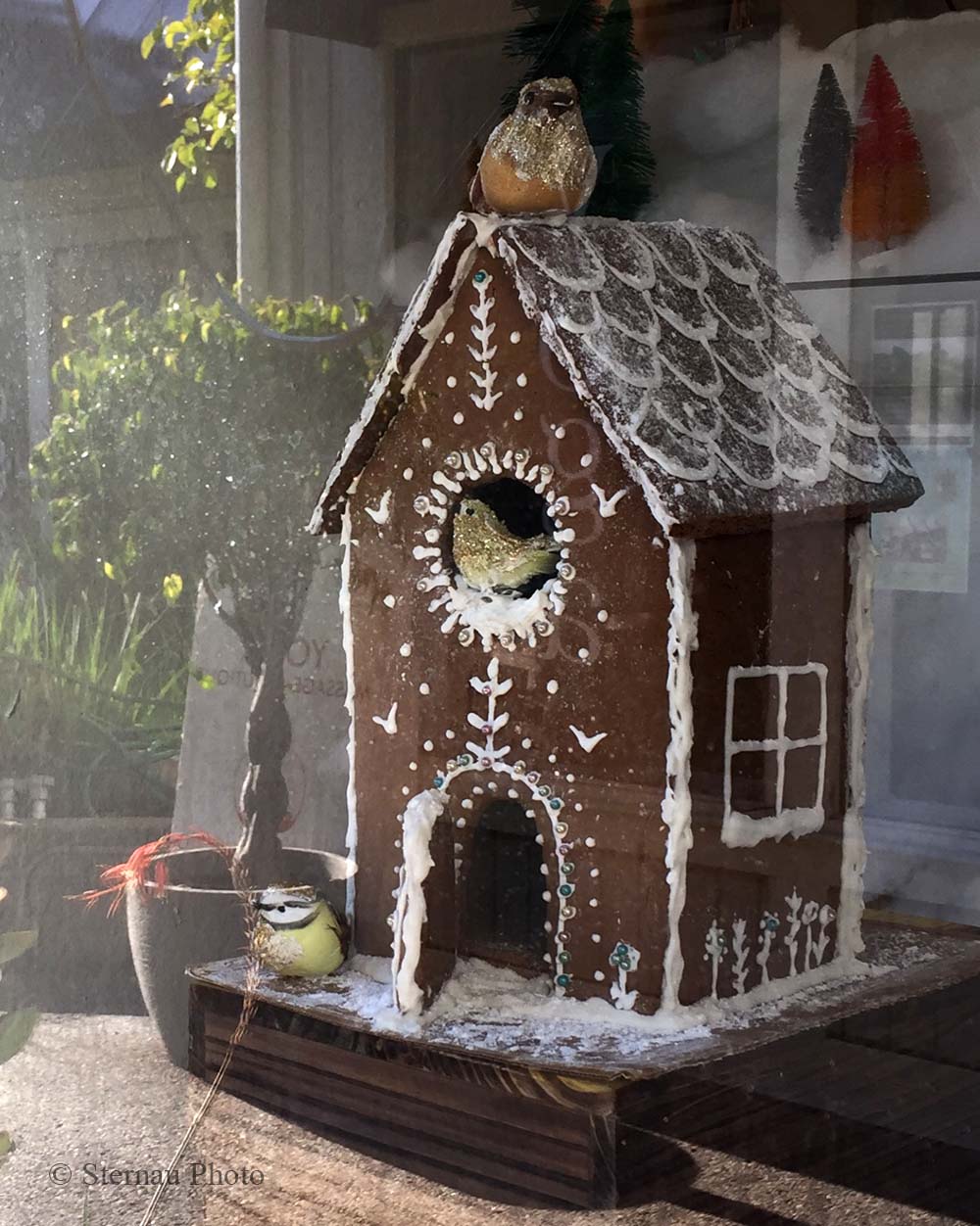 Sausalito Stationary Gingerbread Bird House, Susan Sternau Photo