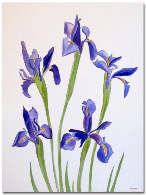 Five Blue Irises by Susan Sternau