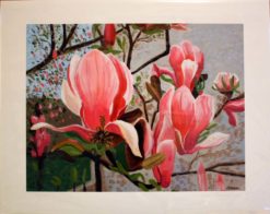 magnolias-print-front-by-susan-sternau