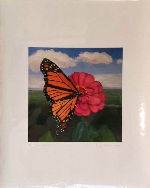 Monarch on Zinnia print front by Susan Sternau