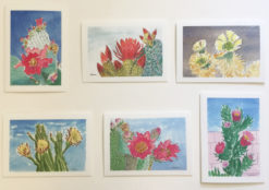 Cactus Flower Cards by Susan Sternau, 6 cards for web