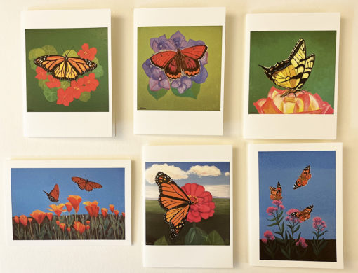 Butterfly Card Box Cards by Susan Sternau