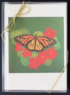 Butterfly Card box by Susan Sternau