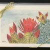 Desert Cactus Flowers Card Box, front, by Susan Sternau