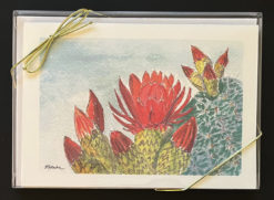 Desert Cactus Flowers Card Box, front, by Susan Sternau