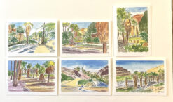 Palm Canyon Cards by Susan Sternau