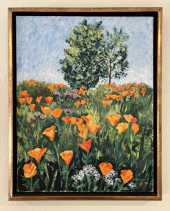 California Poppies by Susan Sternau