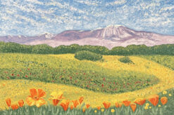 Desert Wildflowers by Susan Sternau