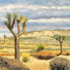 Joshua Tree 1 by Susan Sternau