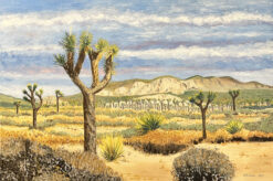 Joshua Tree 1 by Susan Sternau