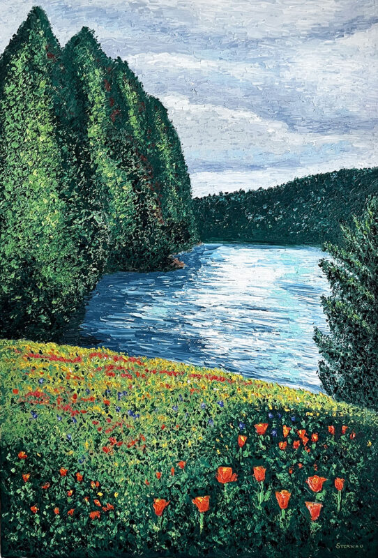 Wildflower Lake by Susan Sternau