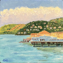 Sausalito Waterfront 16 front by Susan Sternau