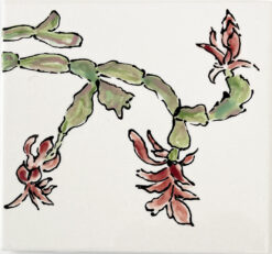 Christmas Cactus Tile by Susan Sternau